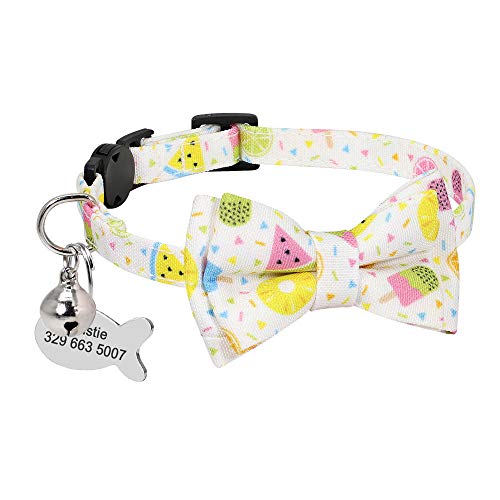 TYCHWZRMV(X)A jO[h[v Lp qpLpNCbN[XID xt ybgANZT[ lbNX ߉\(6)