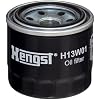 Hengst Filtration Hengst Oil Filter - Spin on - H13W01