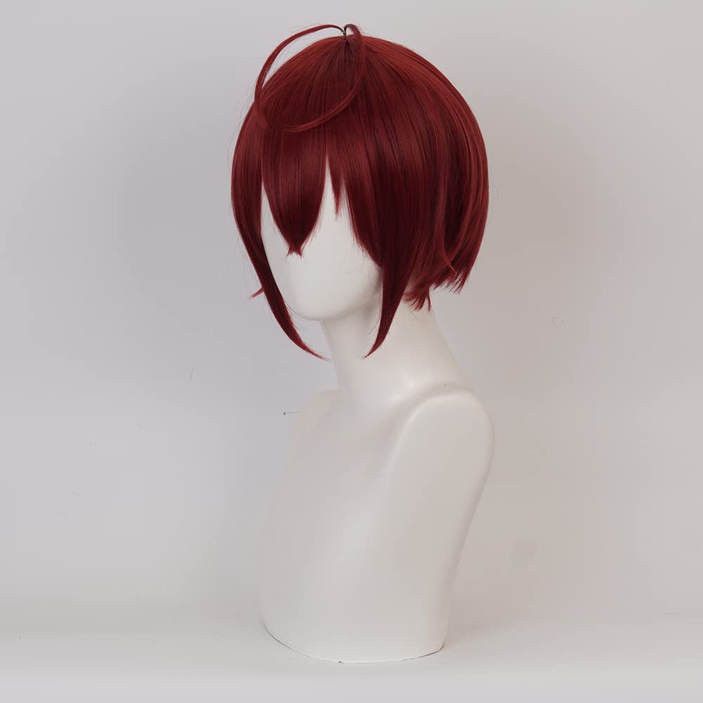 Wine Red Short Wig for Anime Costume with Straight Heat Resistant Synthetic Hair for Women Halloween Cos Anime Party Comic Con Replacement Wigs - Image 4