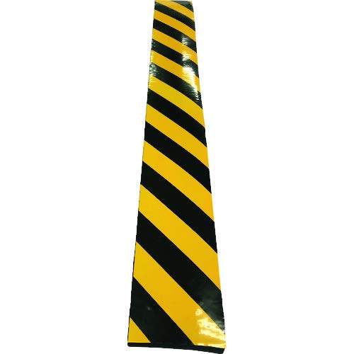 G}e NEWgNbV() 30mmX100mmX1M / TR100-1-30T