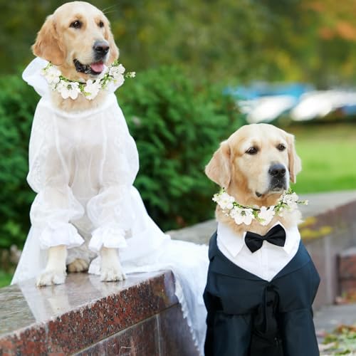 Blumenhalsband für Hunde & Katzen - Hochzeits- & Geburtstagsrequisiten mit künstlichen Blumen