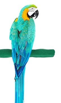 Non Toxic Bird Perches for Safety - Are You Choosing the Right Ones? 2 non toxic bird perches for safety