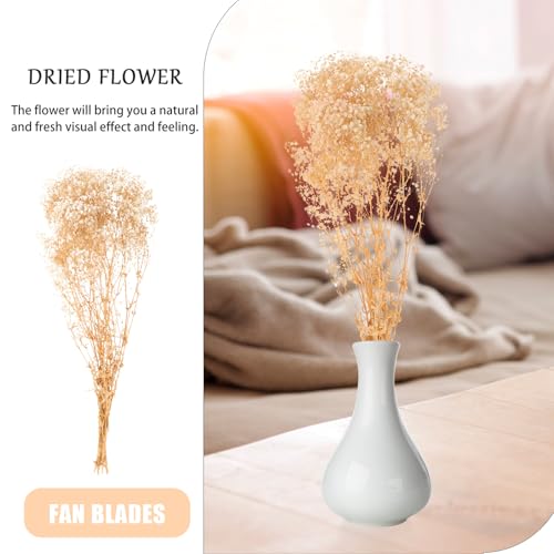 Ramo de flores secas Gypsophila beige 120g 75x15x3cm miniatura 3