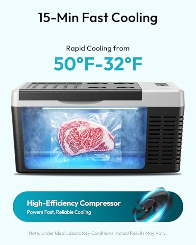 Portable Electric Cooler Warmer Combo