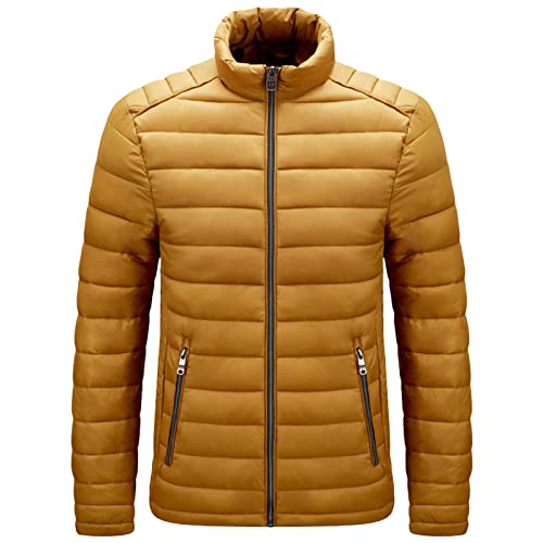 Manteau en duvet léger pour l'hiver idéal pour vos sorties