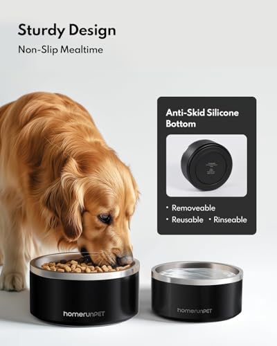 HomeRunPet Hundenapf aus Edelstahl, 1L Futternapf mit Rutschfestem Gummiboden, Doppelwandige und Isolierte Fressnapf, Langlebig, Spülmaschinenfest für Kleine, Mittelgroße und Große Hunde