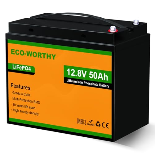 Lifepo4 50ah