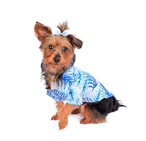 Image of Hawaii Hangover Family Matching Hawaiian Clothes, Simply Blue Leaves | Family matching Hawaiian outfits, Simply Blue Leaves, lightweight rayon, machine washable, tropical leaf print, luaus