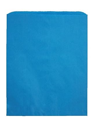 A Package 4 It Flat Merchandise Paper Bags, Sky Blue Kraft Paper Bags, 12