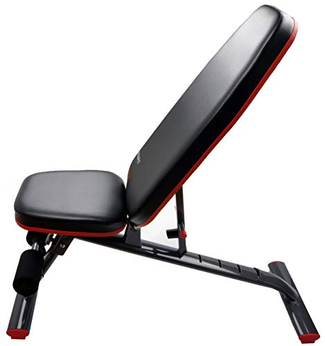 HulkFit Adjustable and Foldable Utility Weight Bench for Upright, Incline, Decline, and Flat Exercise (Regular)