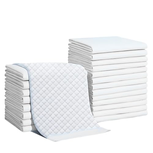 Image of Pets Empire Pet Training Pads, Super Absorbent & Leak-Proof Pee Pad, Quick Dry Floor Protection Mat for Potty Training, Disposable Urine Poop Mats for Dogs, Puppies Trainings - 10N (23 X 24 Inch)