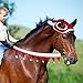 3-in-1 Christmas Horse Costume Accessory-Including 1 Pcs Horse Christmas Santa Hat and 2 Pcs Horse Rein Cover Halter Bridle Cover for Holiday Decor Christmas Party Xmas Parade Supplies