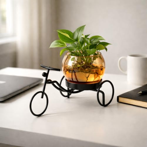 Image of CentraLit Decorative Metal Tricycle Planter for Home Decor | Handcrafted Indoor Plant Pot with Amber Glass Bowl | Premium Tabletop Planter for Living Room, Office, Balcony & Gifting