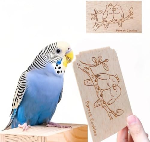 Bird Balsa Wood Toys That Will Surprise You – Top 5 Picks Inside 7 QYILUARE Natural Balsa Wood Bird Chew Toys for Parrots - 10 Pack Soft Wood Slices for Shredding & Foraging, Safe Cute Prints Teething Toy for Budgie Parakeet Lovebird Cockatiel Small Birds