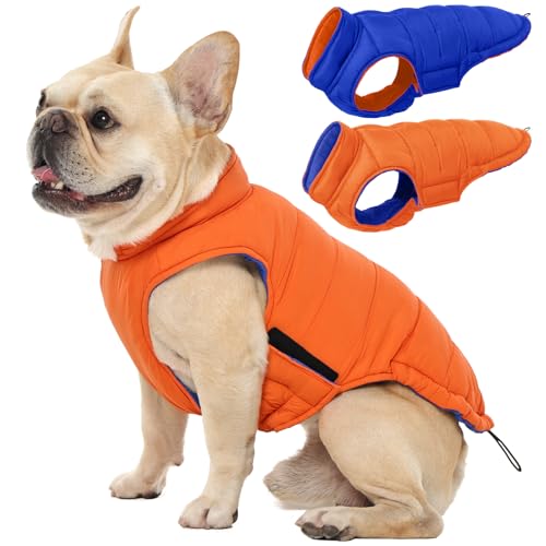 QBLEEV Manteau réversible chien petit races orange XS