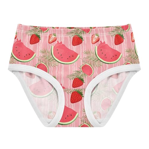 Watermelon Strawberry Toddler Girls's Underwear 2T 202c1865