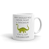 Why Should You Never Fight Dinosaur Coffee Tea Ceramic Mug Office Work Cup Gift 15oz
