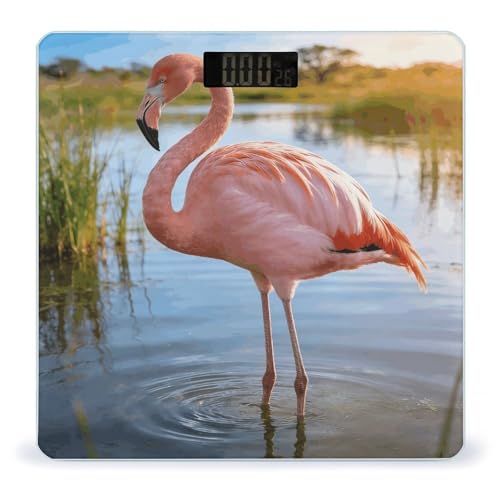 Báscula digital de baño con plataforma de vidrio templado 10x10 in