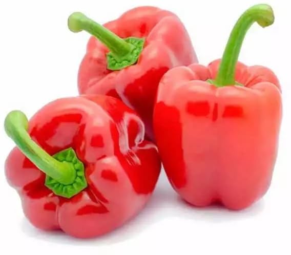 Willvine Organic Red Bell Pepper Capsicum-DLX-2H-image-35
