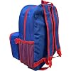 Ruz Sonic The Hedgehog 16 Inch Backpack With Detachable Matching Lunch Box (Sonic I)