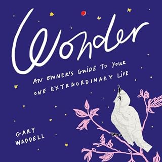 Wonder cover art