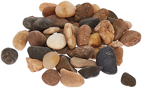 Mini Assorted Garden Beach Stone Rocks Pebbles Aquarium Lake Collection For Outdoor & Indoor Home Garden Decoration, Arts & Crafts Projects, Party Favors, Invitation (1 Pound Bag) #TOP14