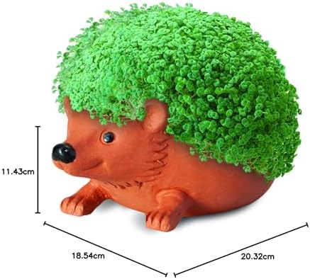 Chia Pet Hedgehog Decorative Ceramic Planter with Seed Pack Decorative Porcelain Planter Easy to Grow, Fun Novelty Gift for Any Occasion