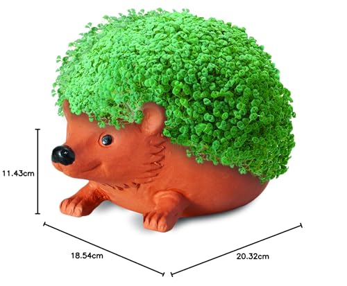Chia Pet Hedgehog Decorative Ceramic Planter with Seed Pack Decorative Porcelain Planter Easy to Grow, Fun Novelty Gift for Any Occasion