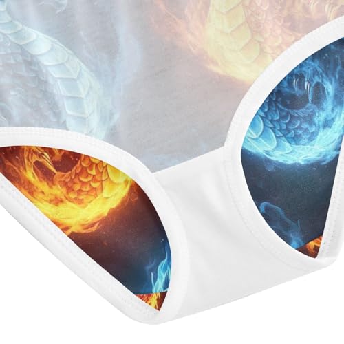 Dragons Fire Ice Underwear Toddler Girl, Kids Underwear, 2T–8 Years4