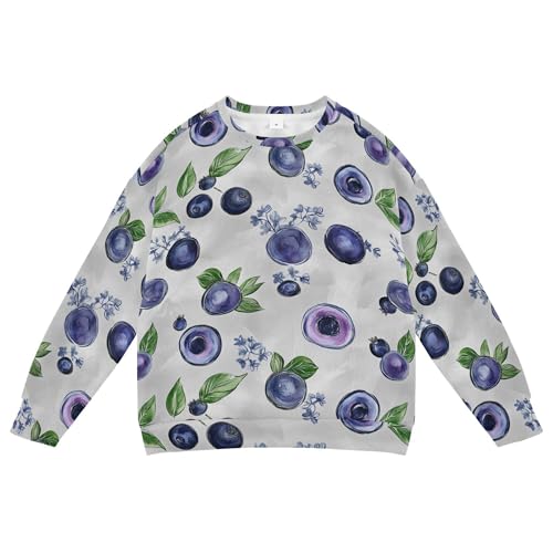 JUNZAN Art Blueberries Fruit Silver Kids Boys Sweatshirt Hoodie Fleece Boys Sweat Shirt Sports 4T
