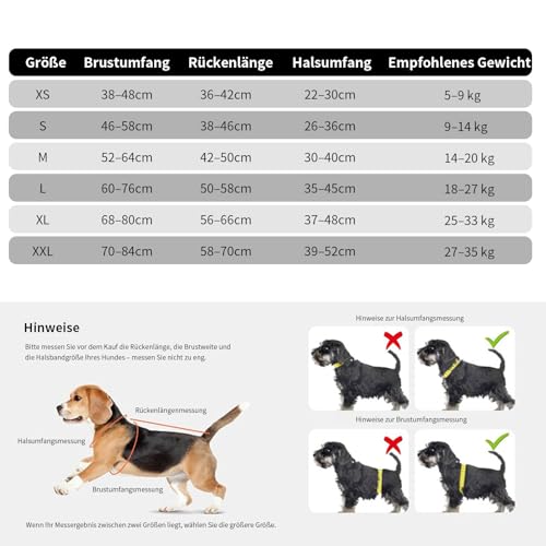 InfiniZer Hundebody Nach Op Medizinischer Body für Hunde Kastration Hündin Rüde Operationsbody Hund Body Nach Op Body Hund Shirt Leckschutz Wundschutzanzug für Hunde Einteiler Schlafanzug (Grau, XS)