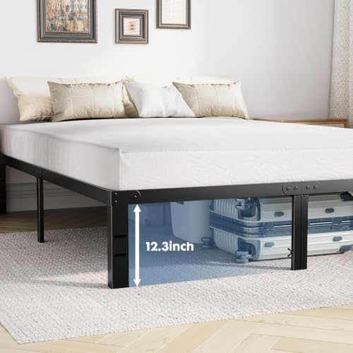 https://m.media-amazon.com/images/I/41z9xF340iL.jpg