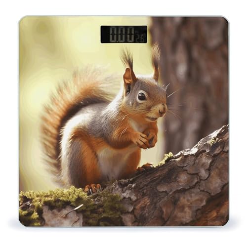 Báscula digital Funny Squirrel de vidrio templado