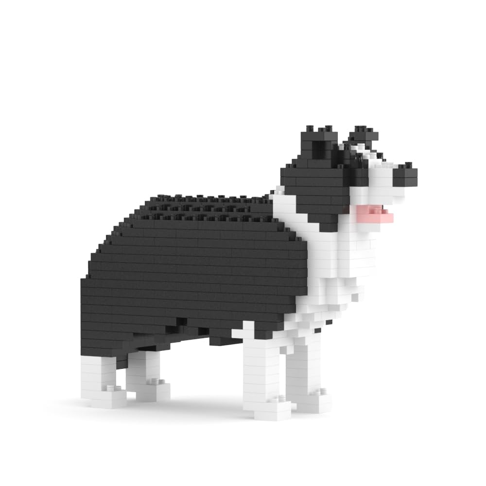 JEKCA Border Collie Mini 01S, Medium
