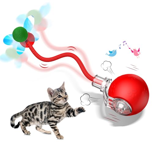 teeche Pallina Interattiva per Gatti - 2025 Nuova Pallina Gatto Automatica con 2 Modalità, Coda Lucido e Suoni di Uccelli, Ricaricabile USB e 360° Rotazione Automatica per Gattini Anziani