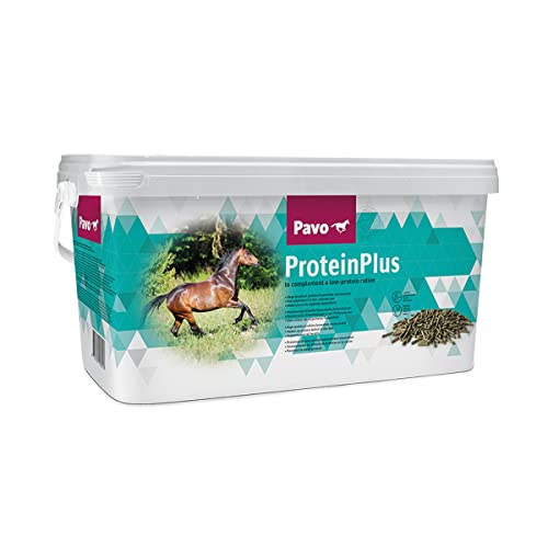 Pavo ProteinPlus | Hochkonzentrierte Eiweißquelle | 7 KG