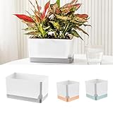 LaLaGreen Planters for Indoor Plants (3 Pack) Self-Watering Window Boxes Planters, Assorted Color Rectangular Herb Garden Long Windowsill Plant Pots with Drainage Modern Stylish Outdoor Flower Box