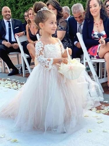 Long Sleeve Flower Girl Dress Toddler Tulle Tutu Lace Back Party Flower Girl Dress2