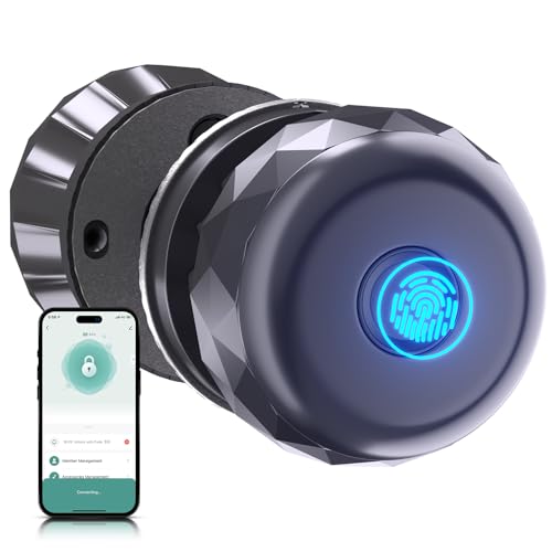 Image of Smart Door Knob 3 in 1 Fingerprint Smart Lock APP Control Keyless Type-C Entry Emergency Charging Biometric Lock for Bedrooms Cloakroom Apartments Hotels