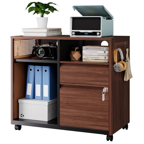 Letaya Mobile 2 Drawer File Cabinet with Lock, Metal Lateral Printer Stand Filing Storage Cabinets with Shelves for Home Office-A4/F4/Letter