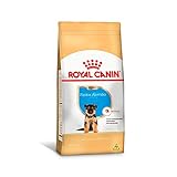 Ração Royal Canin Pastor Alemão Junior Cães Filhotes 12Kg Royal Canin Filhotes