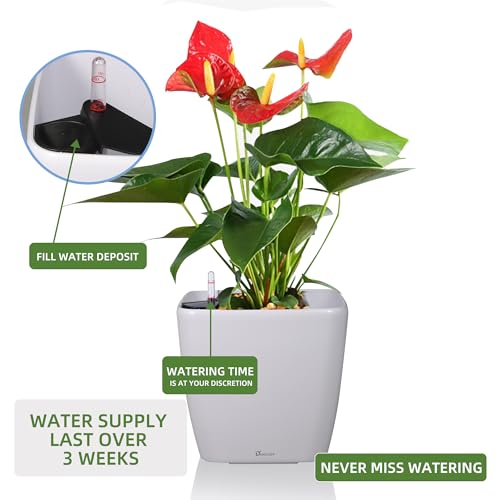 Dexceder 18x17 Self Watering Planter with Wheels (White Matte) by Dexceder - Used condition - Image 5