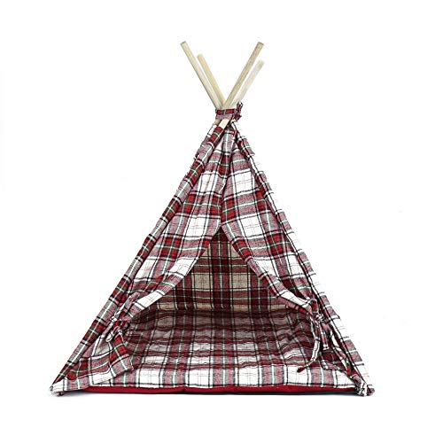 KJOET ybg eBs[ eg  Op  ē~ Ή  IV `[N Č ` gCv[h NbVt u₩ K nEX  L V  ȒPgݗ  ꕔh (bh)