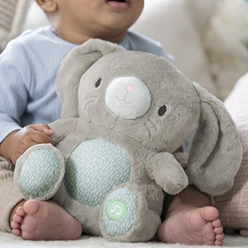 Image of Ingenuity Heart to Hugs Sylvi Soothing Plush Toy with Lights, Vibrations, & Music