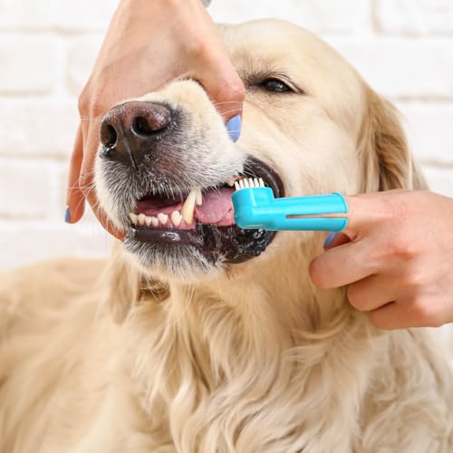 Escova de Dente Dupla com Dedeira, Spray Bucal e Pasta de Dente 90g (MENTA)