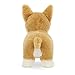 Jellycat Betty Corgi Dog Stuffed Animal, Medium 8 inches - Dogs & Puppies Plush Toy - Classic Children's Gift