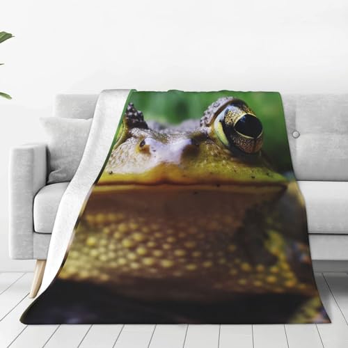 Couverture micro polaire grenouille 203x152 cm pour lit et canapé