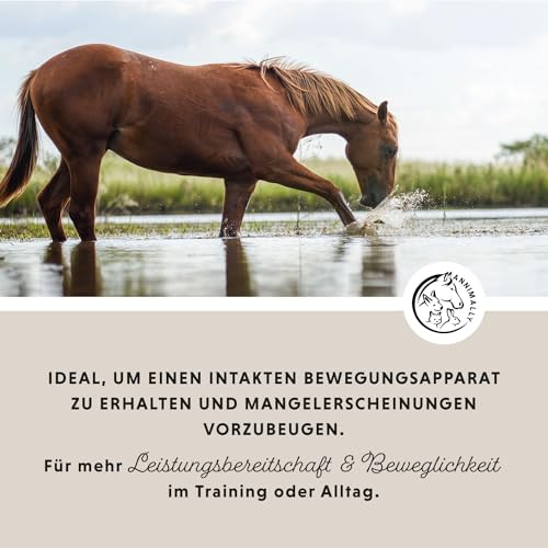 Annimally Gelenk Pulver für Pferde 850g mit Kollagen, Kamille, MSM (Schwefel), Glucosamin, Hyaluronsäure, Chondroitin - Zusatzfutter für die Stärkung der Gelenke beim Pferd - Alternative zu Liquid