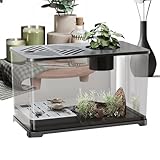 Tistana de Pescado del Acuario, Grandes Tanques de Peces Kits de Inicio del Acuario | Contenedor HD panorámico Moderno, decoración de Escritorio para Betta gupppy de Plantas de Tortuga de Camaro