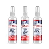 EverydayUSA Hand Sanitizer Kills 99.99% of the Germs Alcohol-Free 4oz 3 Pack